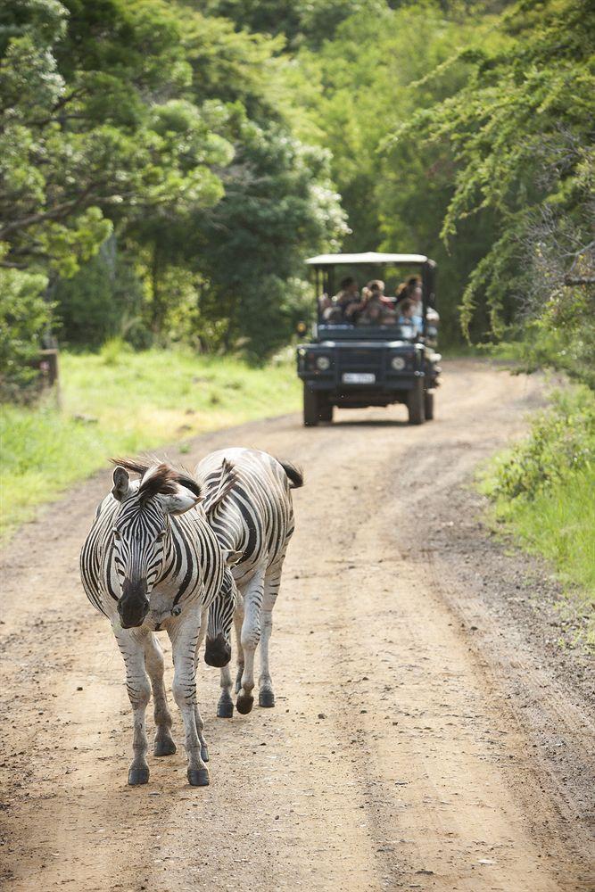 Zululand Safari Lodge Хлухлуве Екстериор снимка